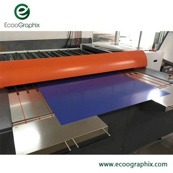 T1600m Preimpresión offset Formato muy grande B0 CTP térmico